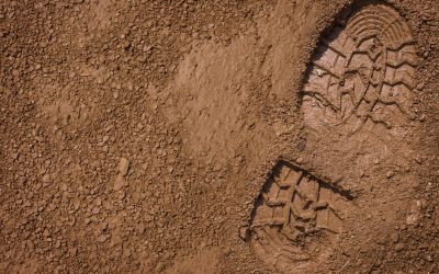 The Stone in My Shoe